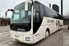 Ditobus-Turist-371