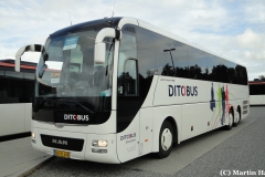 Ditobus-Turist-377