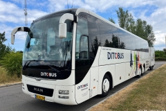 Ditobus-Turist-378