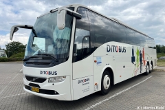 Ditobus-Turist-379