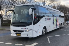 Ditobus-Turist-381