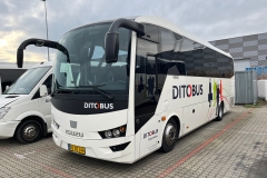 Ditobus-Turist-384
