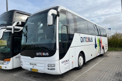 Ditobus-Turist-385