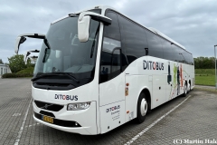 Ditobus-Turist-387