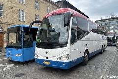 Vikingbus-813