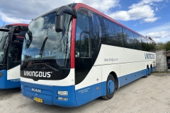 Vikingbus-435