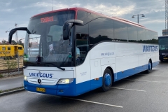 Vikingbus-436