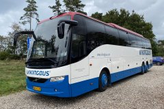 Vikingbus-480